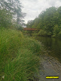 Serene Park Landscape with Mature Trees and Rustic Bridge