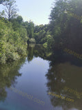 Serene River Surrounded by Lush Green Forest
