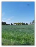 Quiet Farmstead Meadow