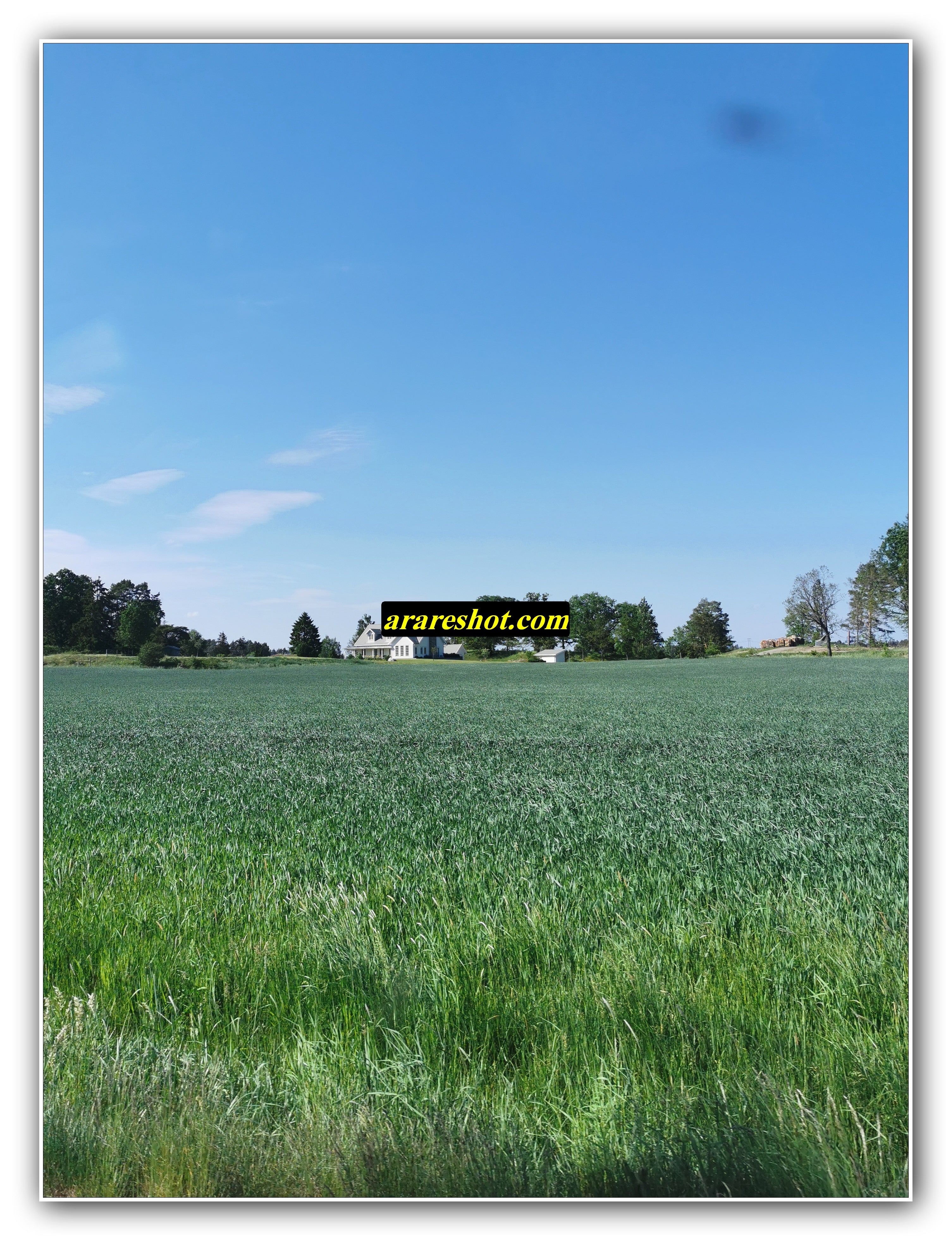 Quiet Farmstead Meadow