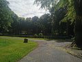 Curved Gravel Path with Grass and Trees