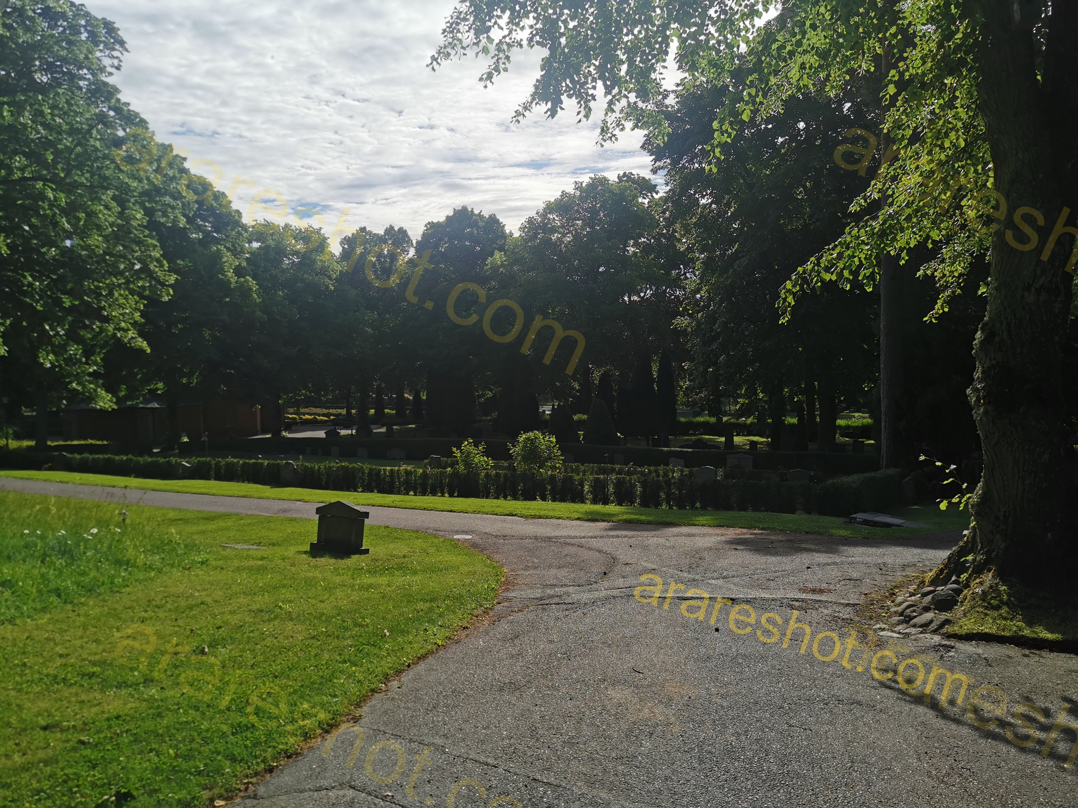 Curved Gravel Path with Grass and Trees