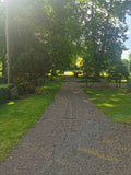 Gravel Pathway with Green Trees and Grass
