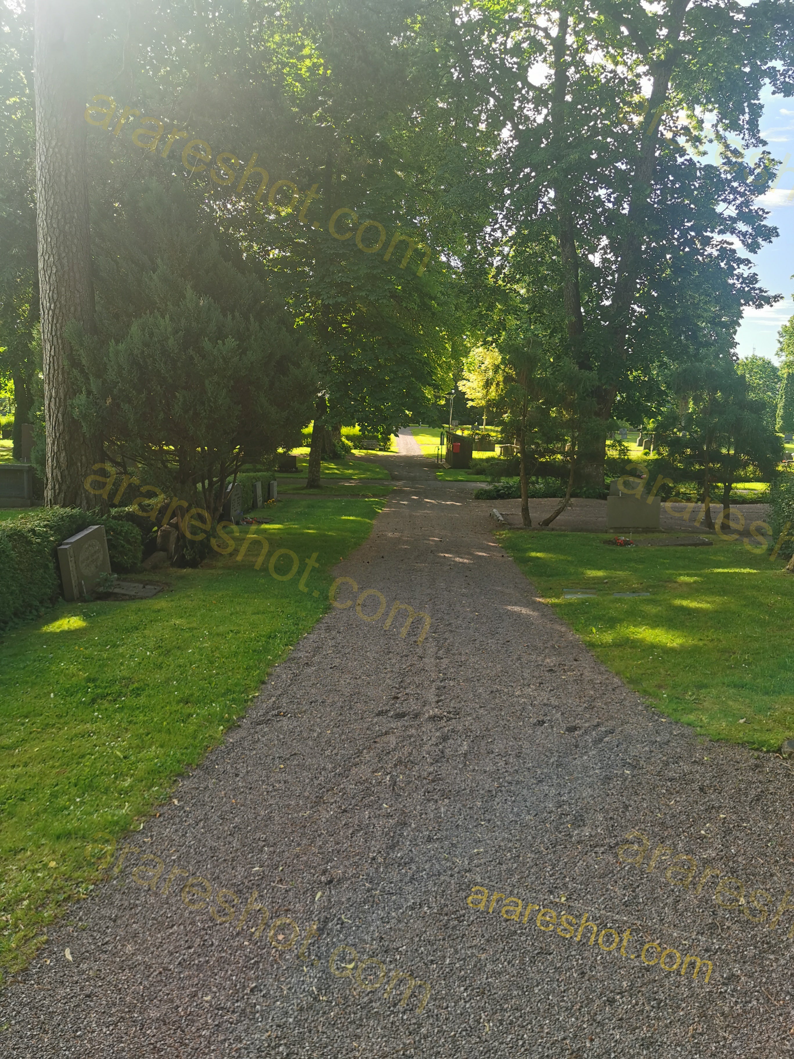 Gravel Pathway with Green Trees and Grass