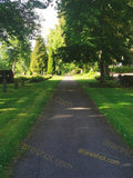 Paved Pathway in Green Park with Trees