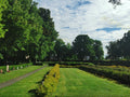 Grassy Cemetery with Trees and Headstones