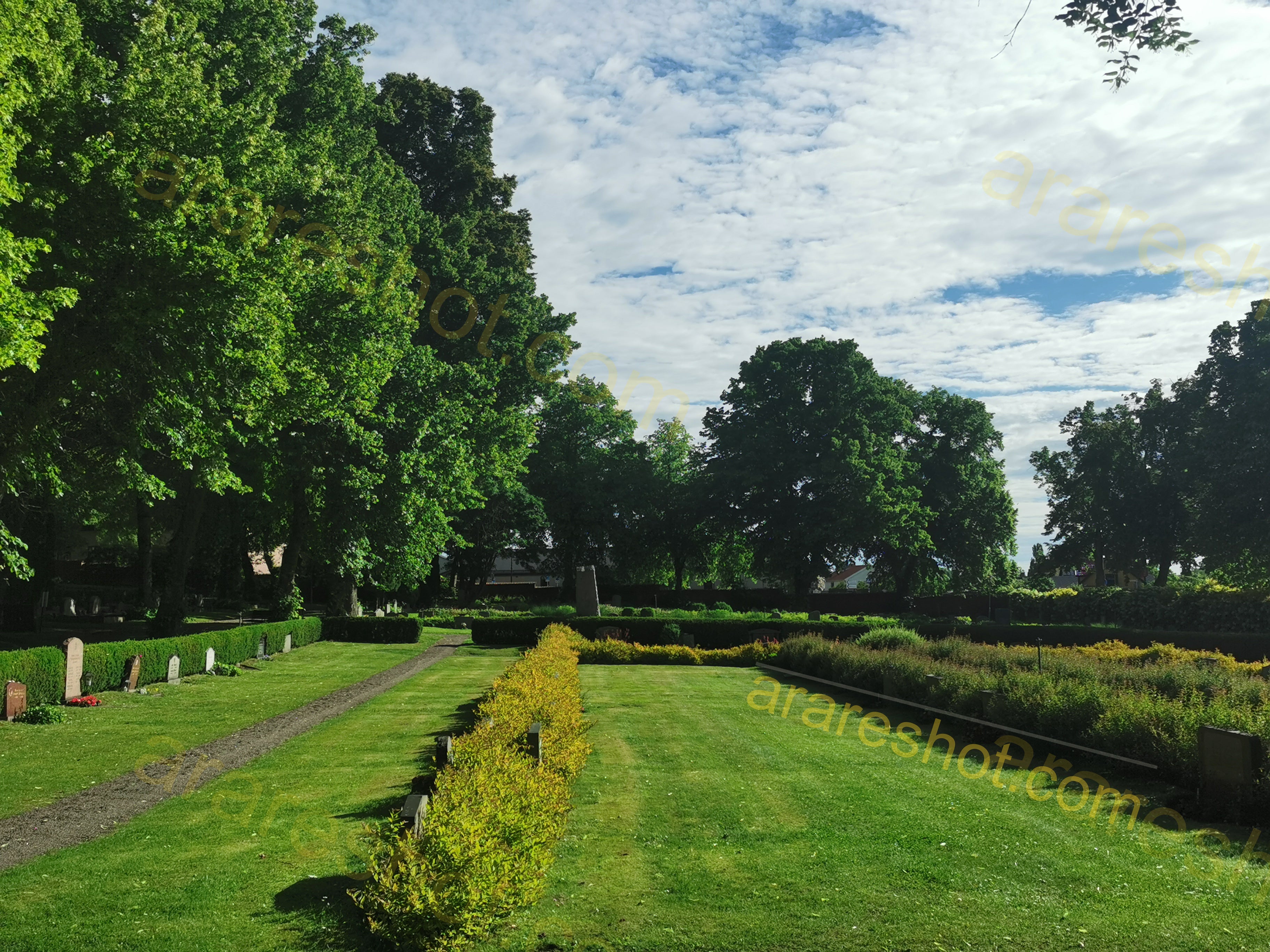 Grassy Cemetery with Trees and Headstones