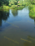 Tranquil River Surrounded by Lush Greenery