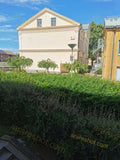 Green Shrubs and Trees Near Beige Building