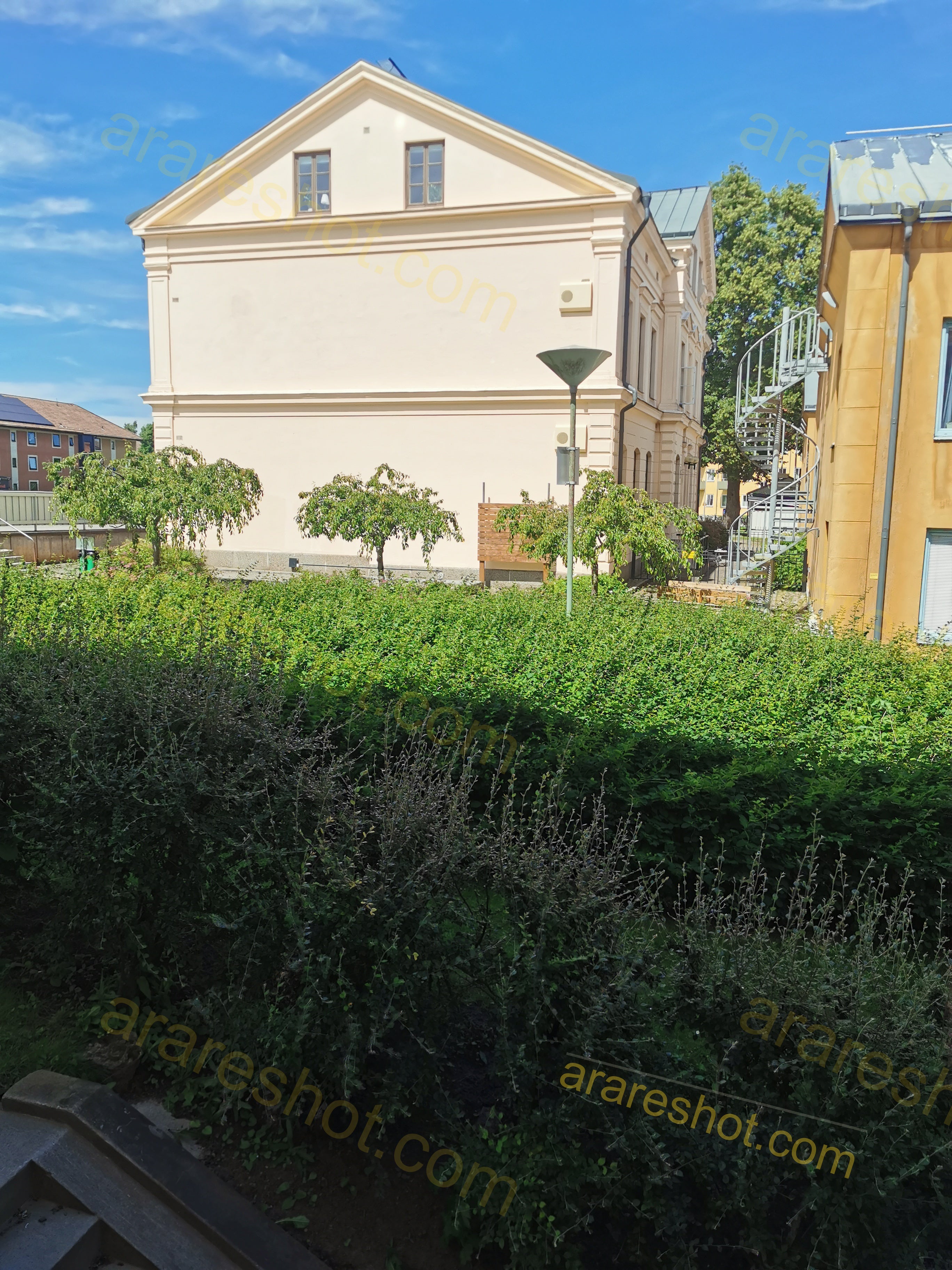 Green Shrubs and Trees Near Beige Building