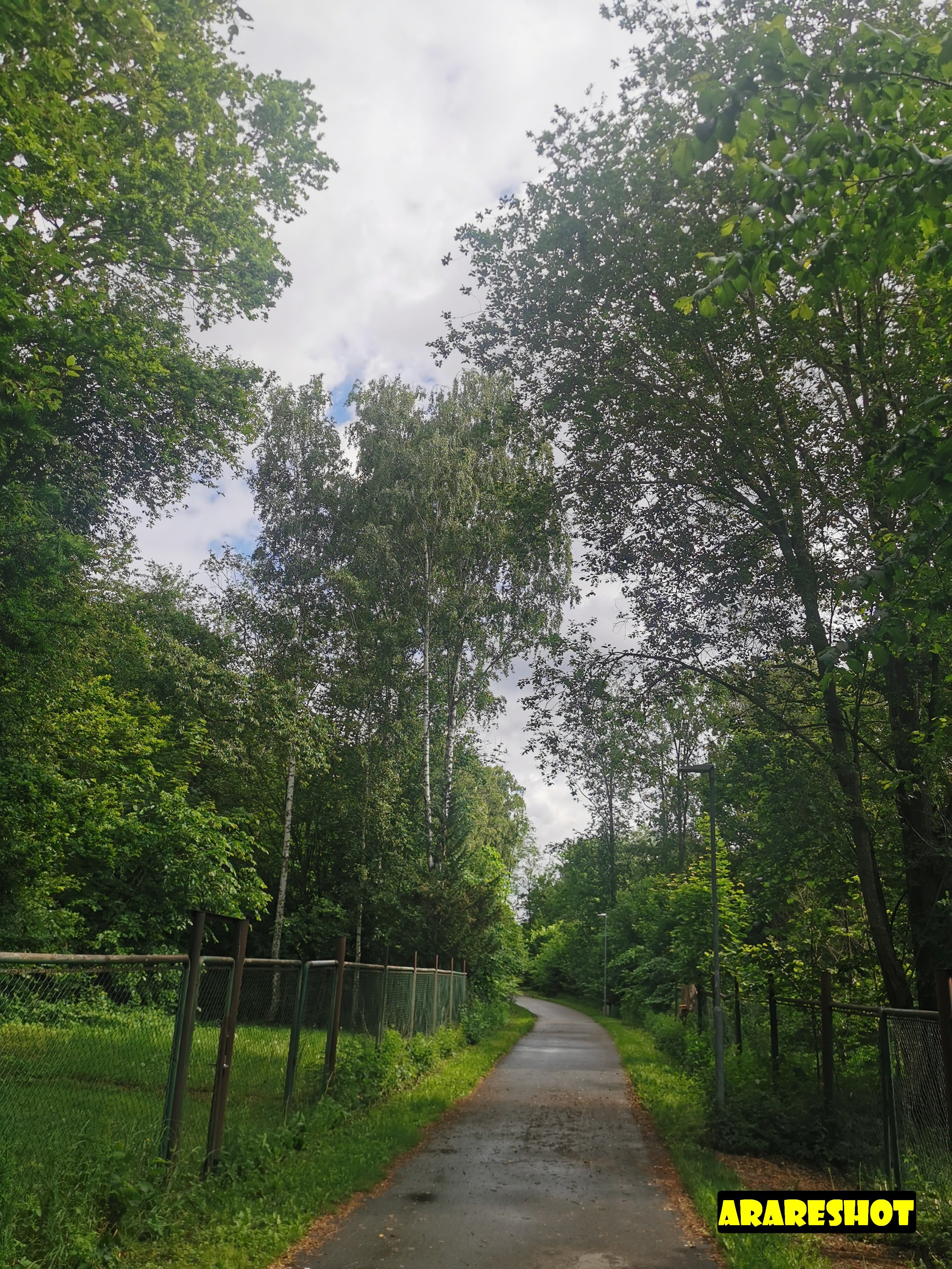 Lush Green Trees and Roundabout Under Cloudy Sky
