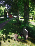 Green Cemetery Path with Trees and Flowers