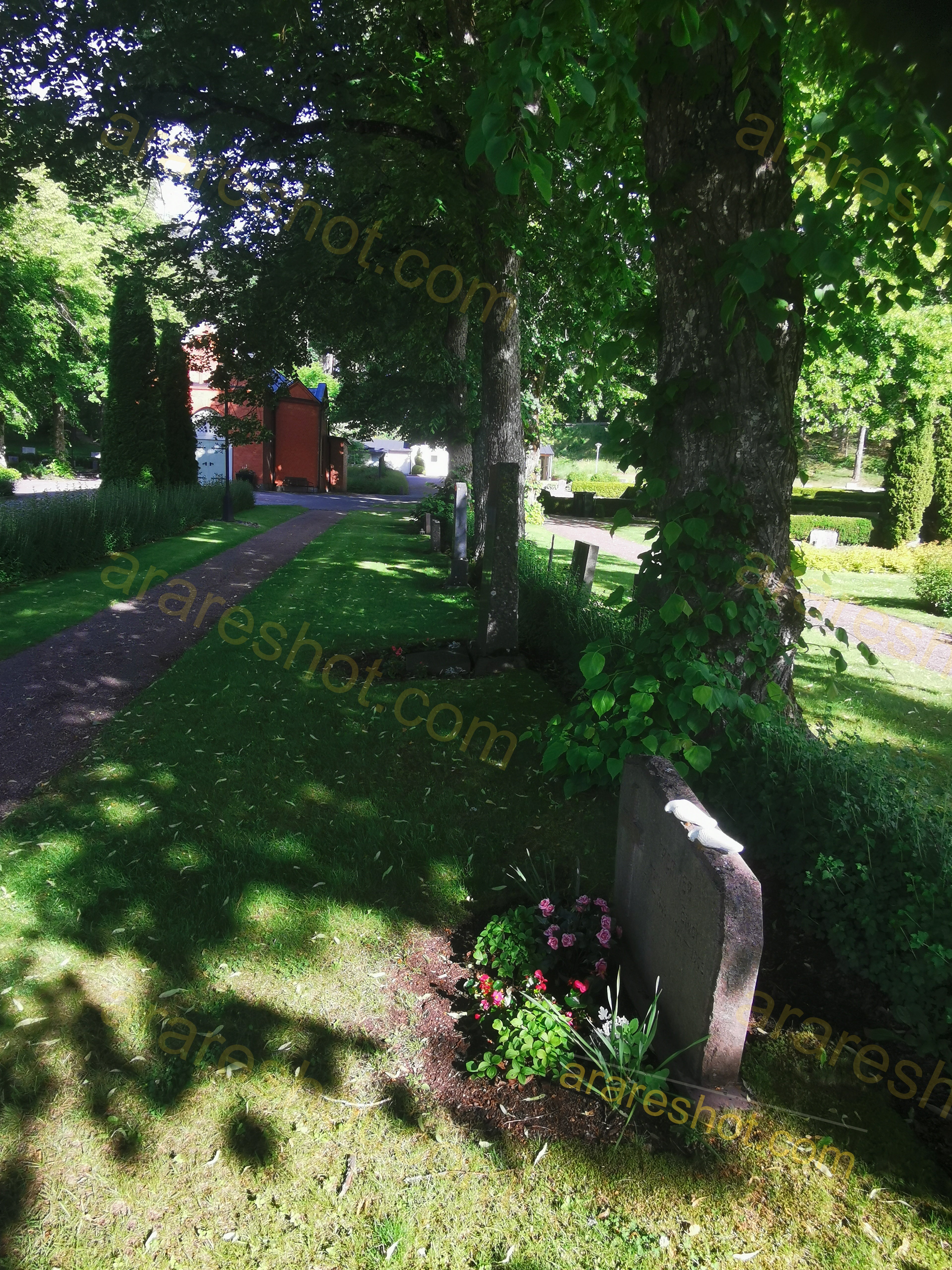 Green Cemetery Path with Trees and Flowers