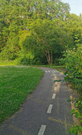 Curved Pathway in Green Park with Trees and Grass
