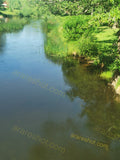 Serene River Landscape with Lush Green Banks and Reflective Water Surface