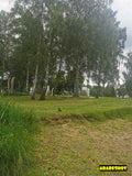 Serene Birch Tree Park Pathway Landscape