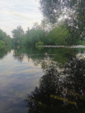 River with Trees and Reflections