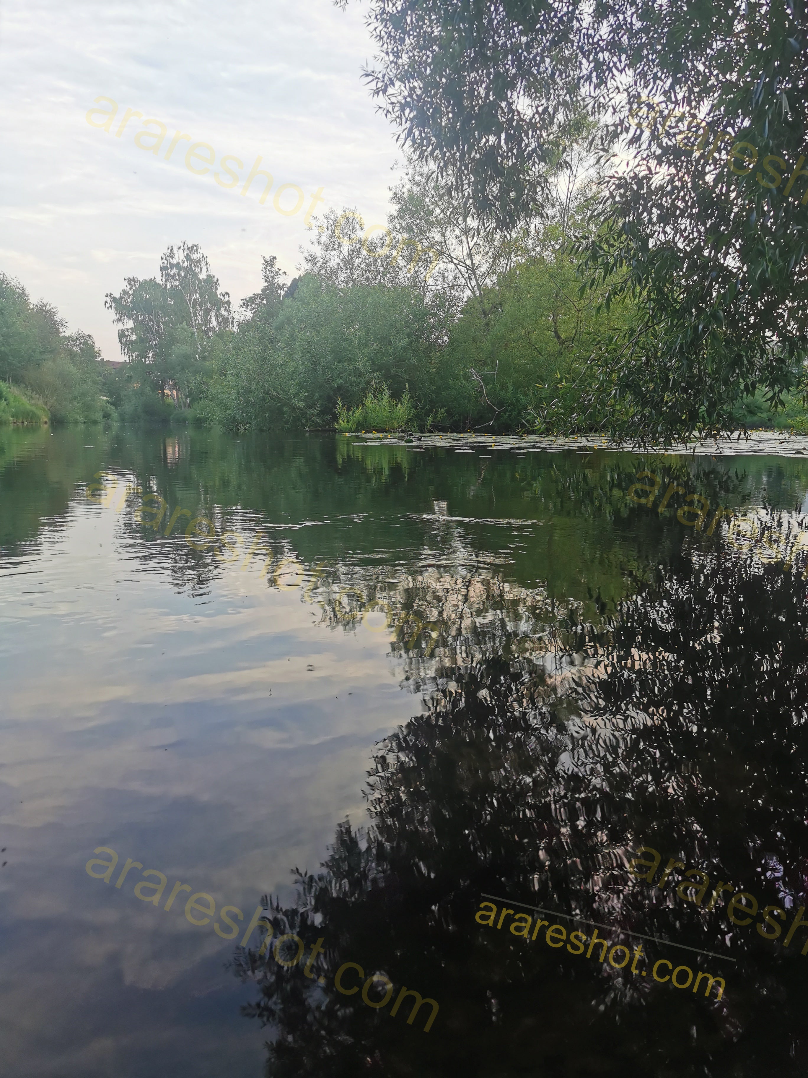 River with Trees and Reflections