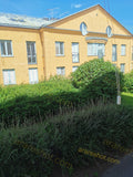 Yellow Residential Building with Green Shrubs