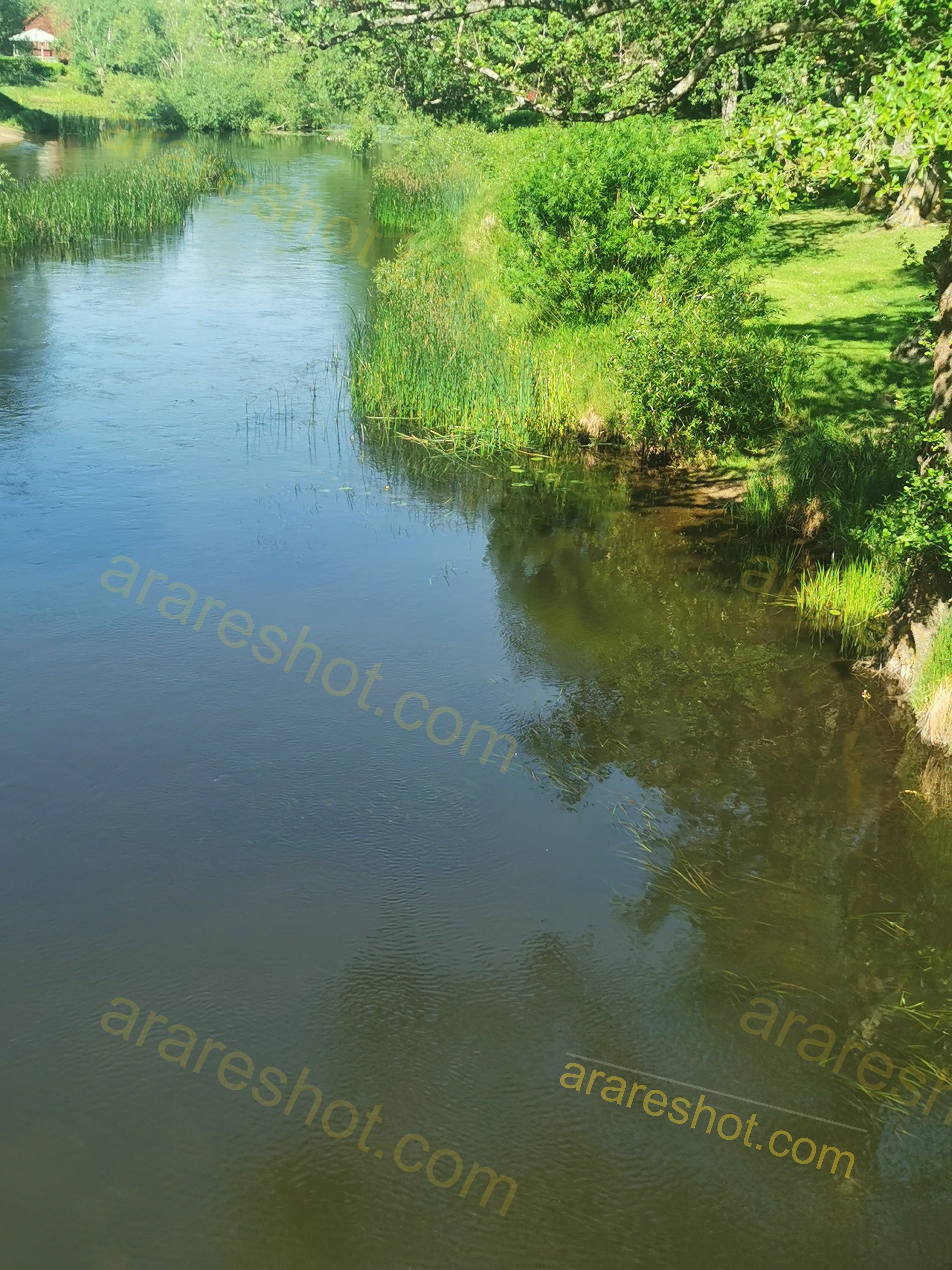 Calm River with Green Vegetation on Banks