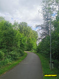 Urban Green Park Landscape with Walking Path