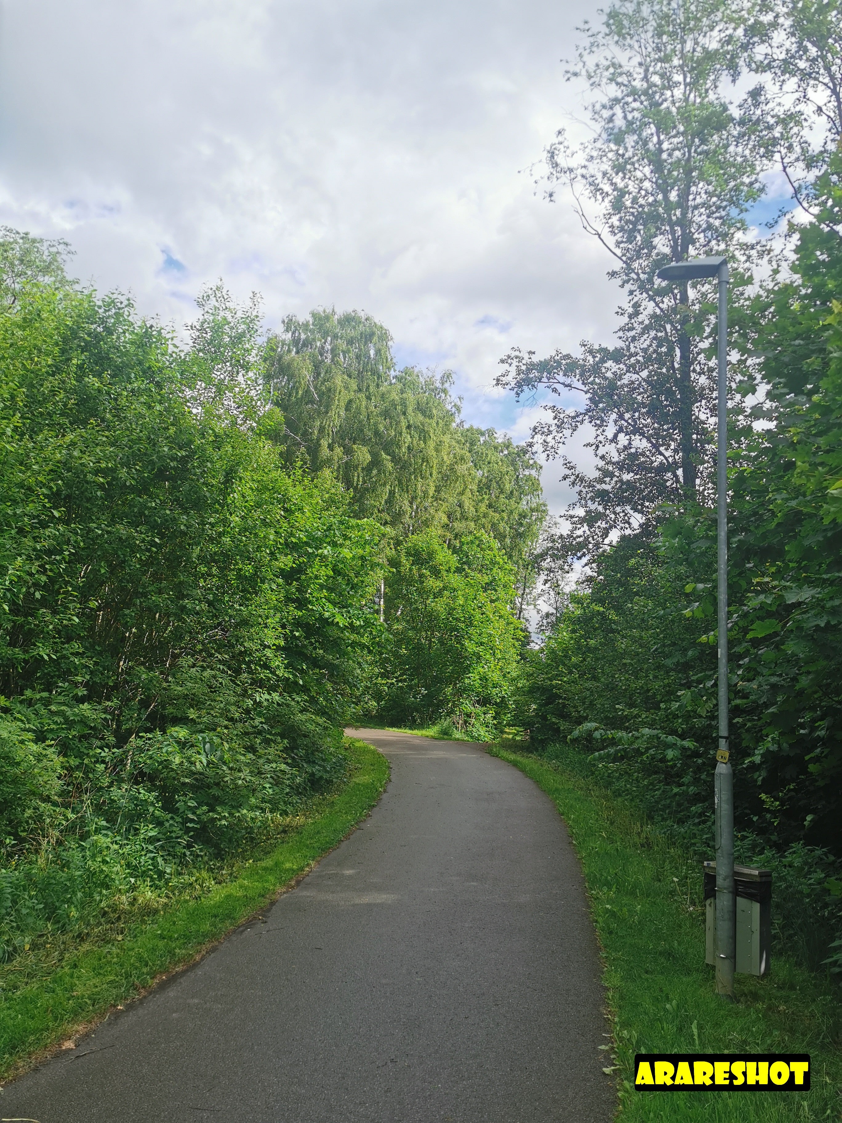 Urban Green Park Landscape with Walking Path