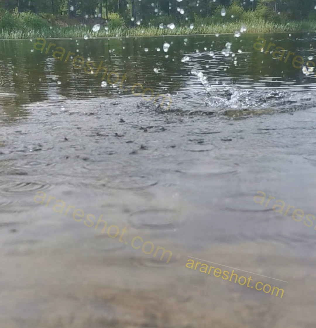 Rain Drops Falling on Lake Surface