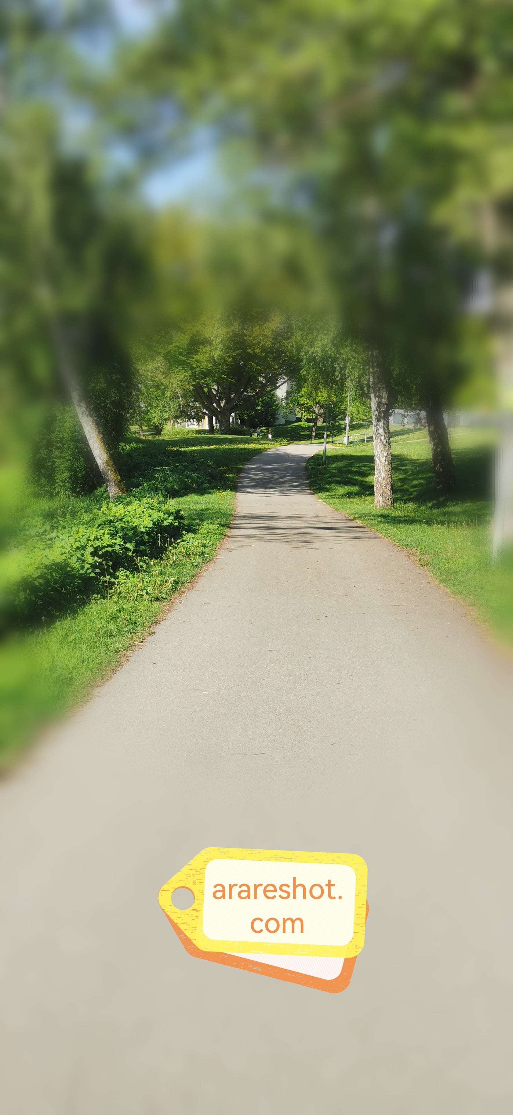 Park Pathway