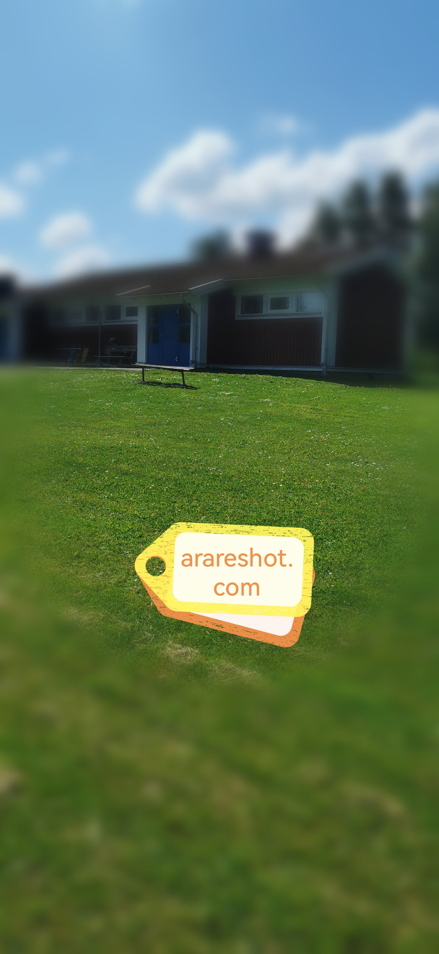 Sunny Yard View with Brown Cottage