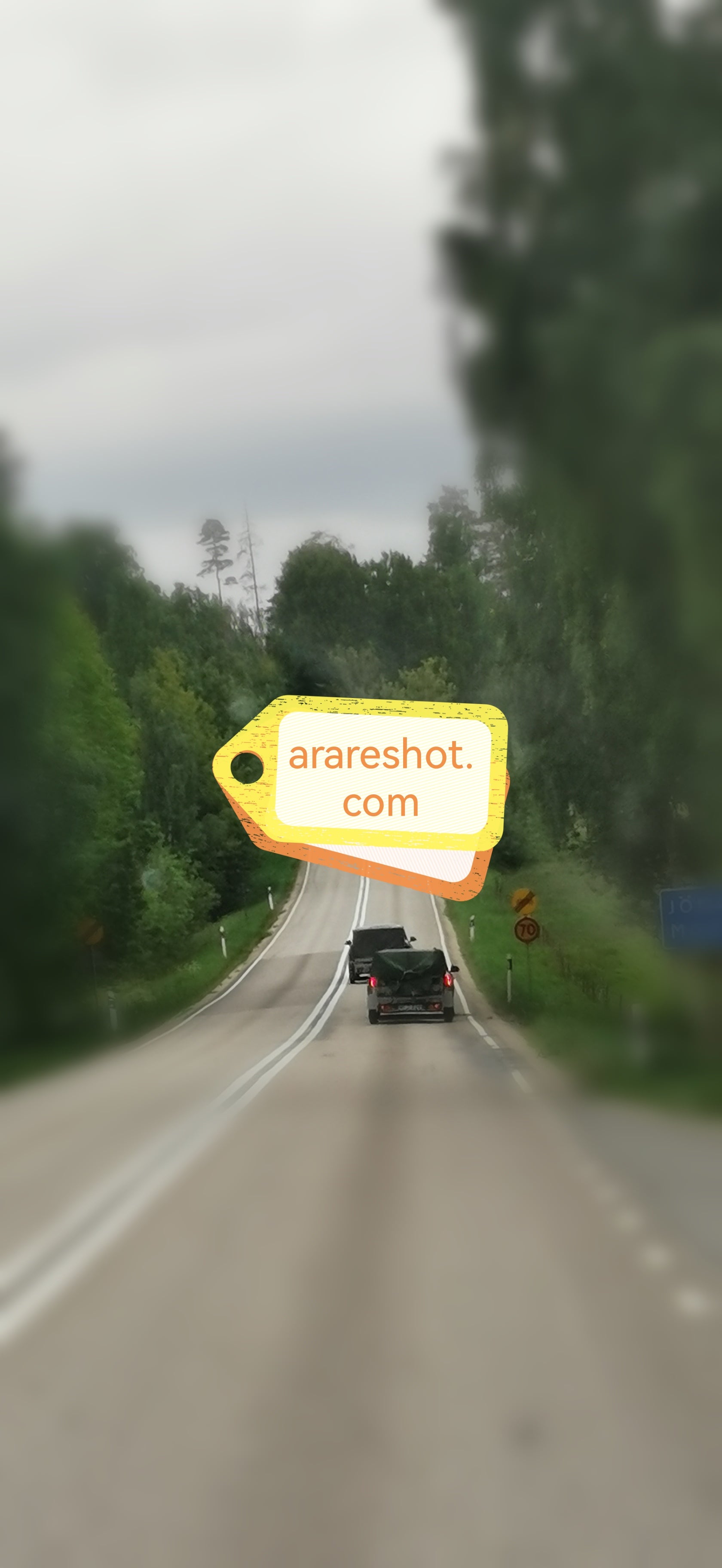 Swedish Forest Road
