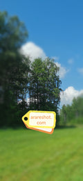 Sunny Green Field with Forest Line