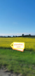 Bright Yellow Field Under Blue Sky