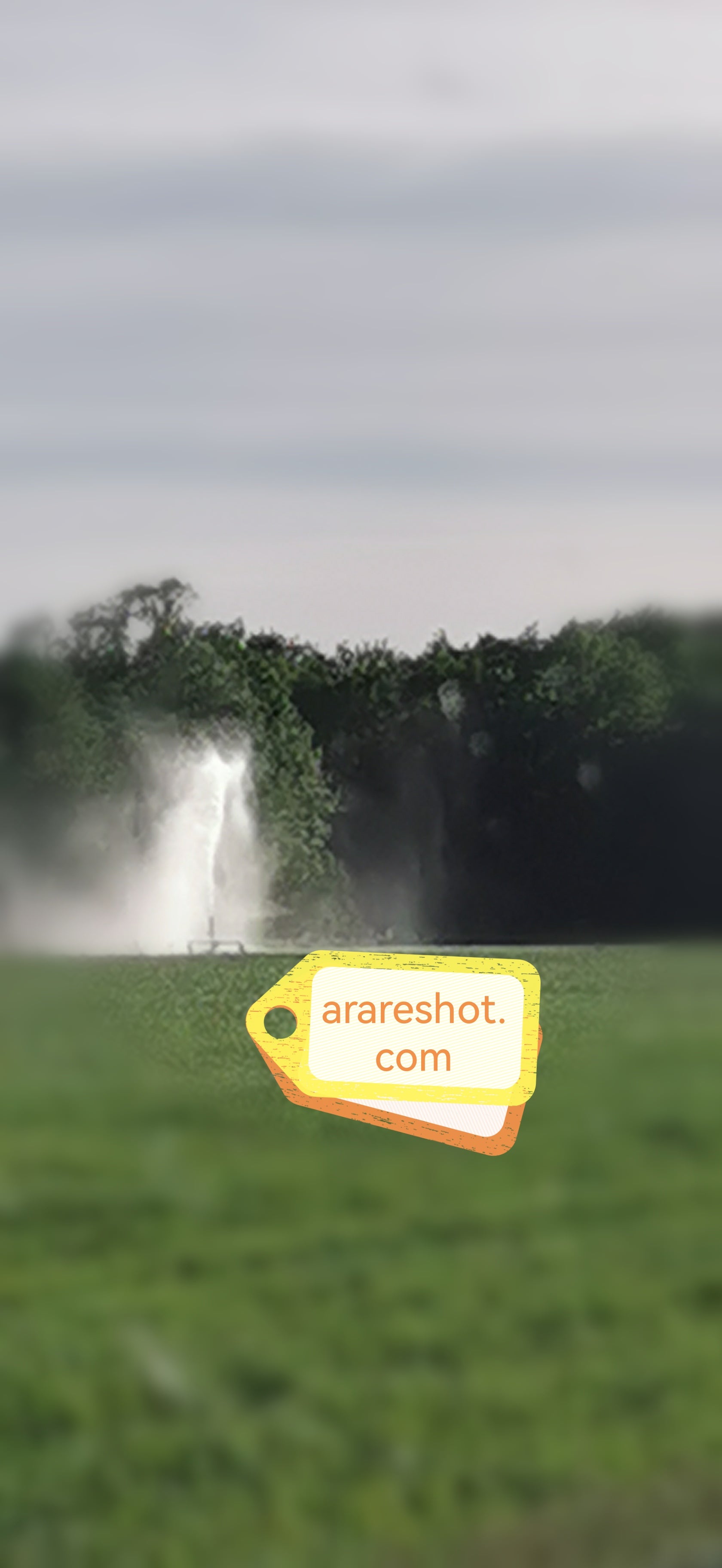 Irrigation Spray Over Green  Farmland