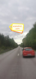 Red Car on Forest Road