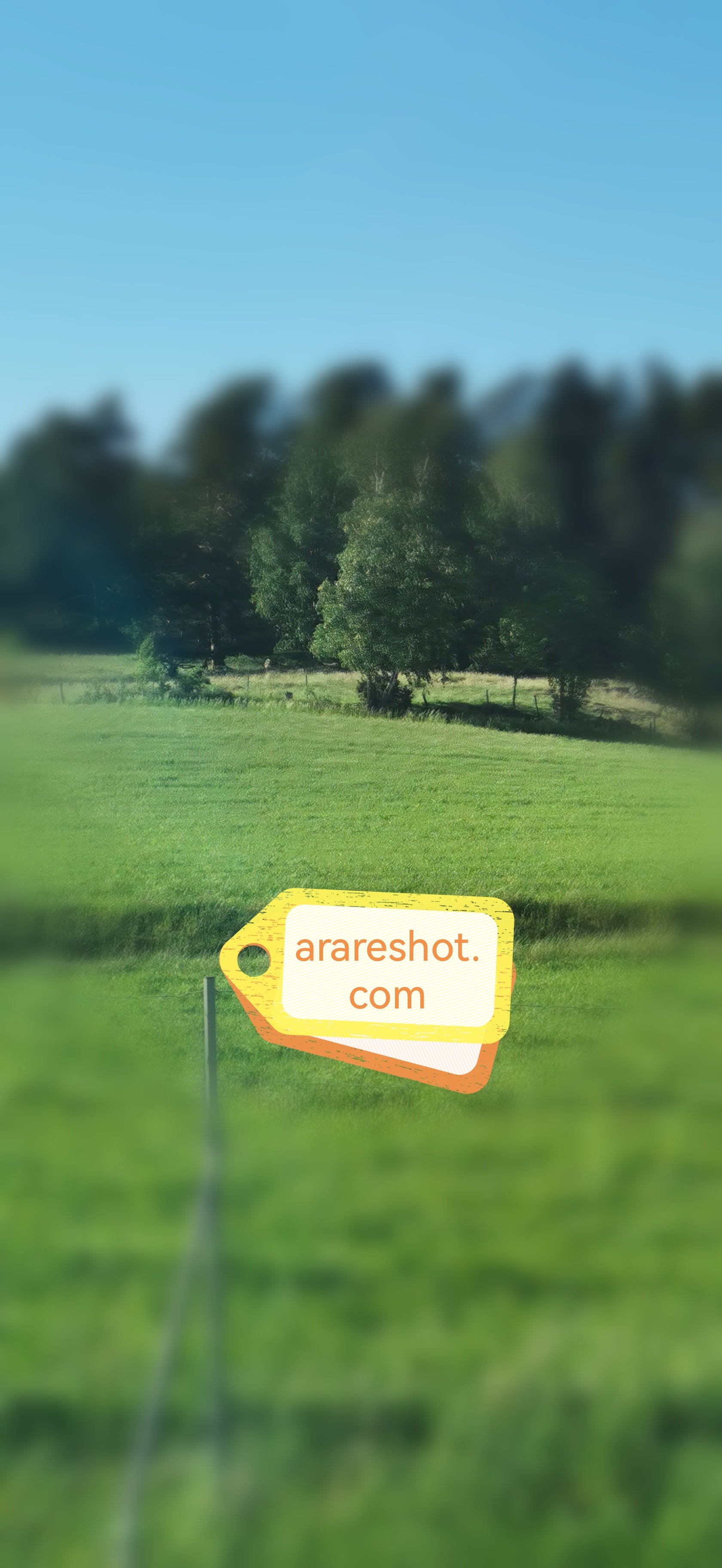 Green Pasture with Fence