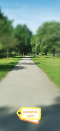 Sunny Park Path