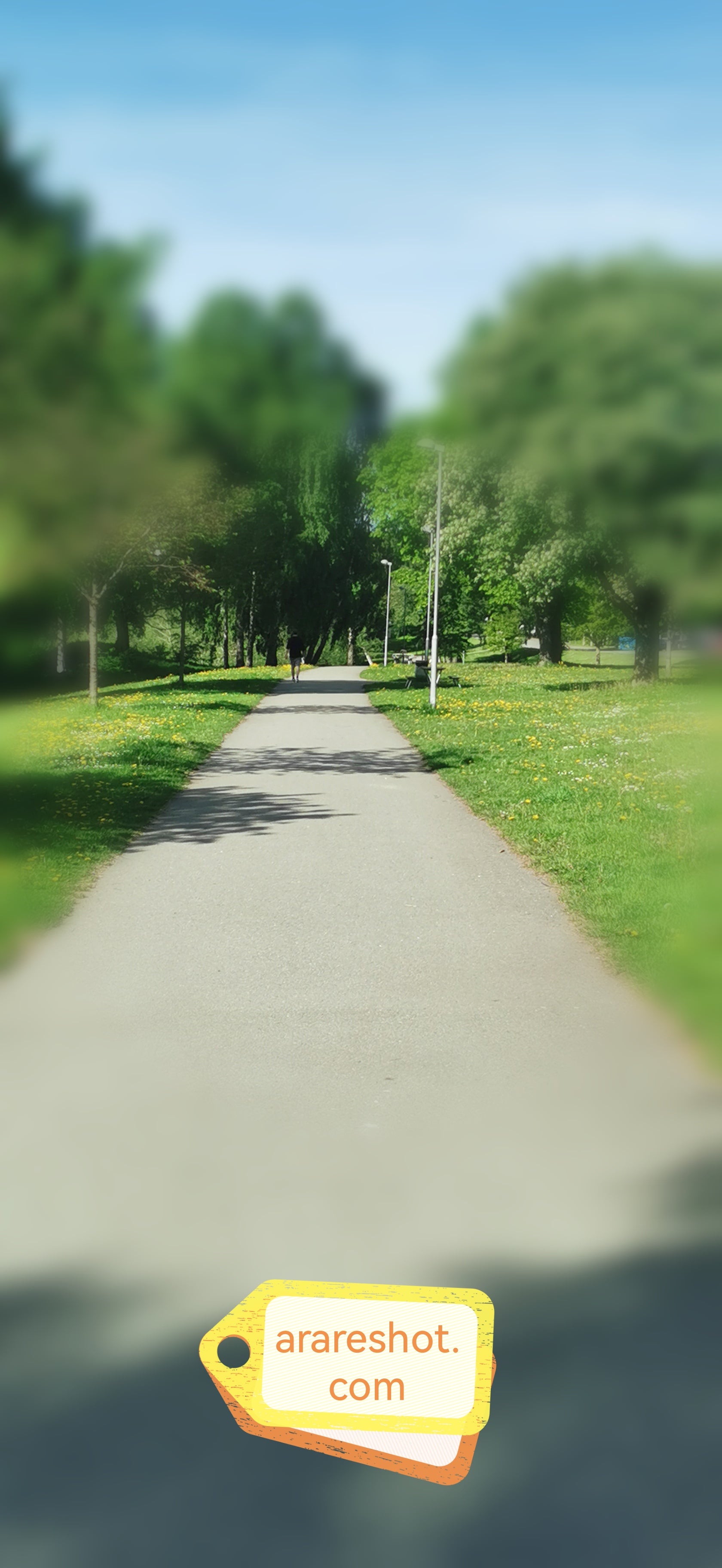 Sunny Park Path