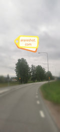 Forest Road with Passing Cars