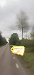 Lonely Tree on Countryside Road