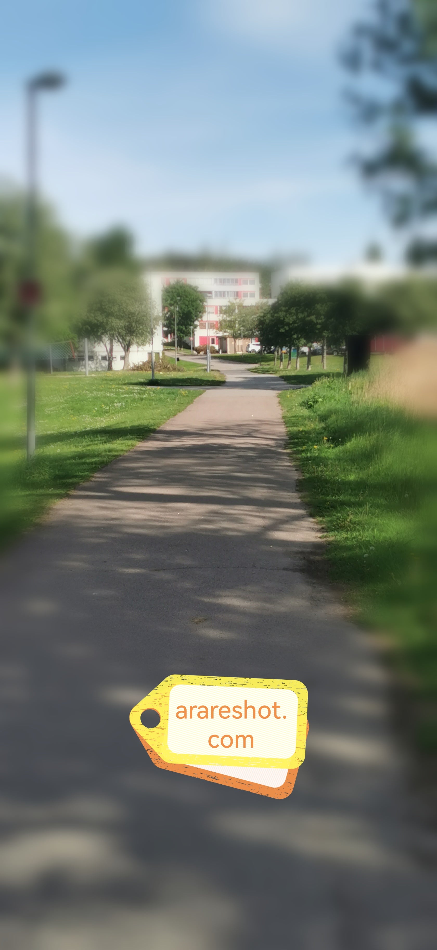 Urban Park Path