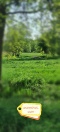 Green Meadow Trail