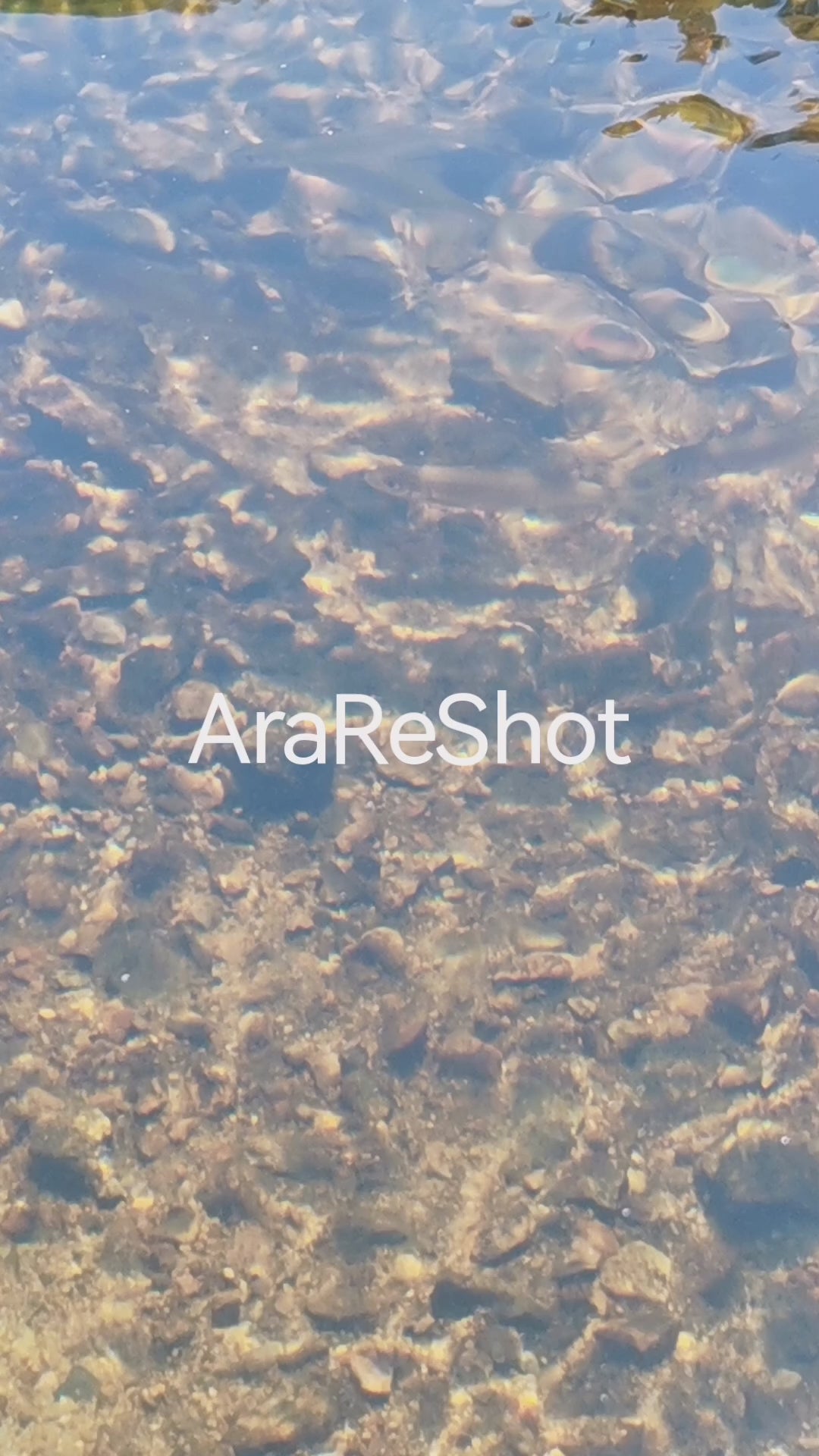 Sunlight Rippling Through Clear Water