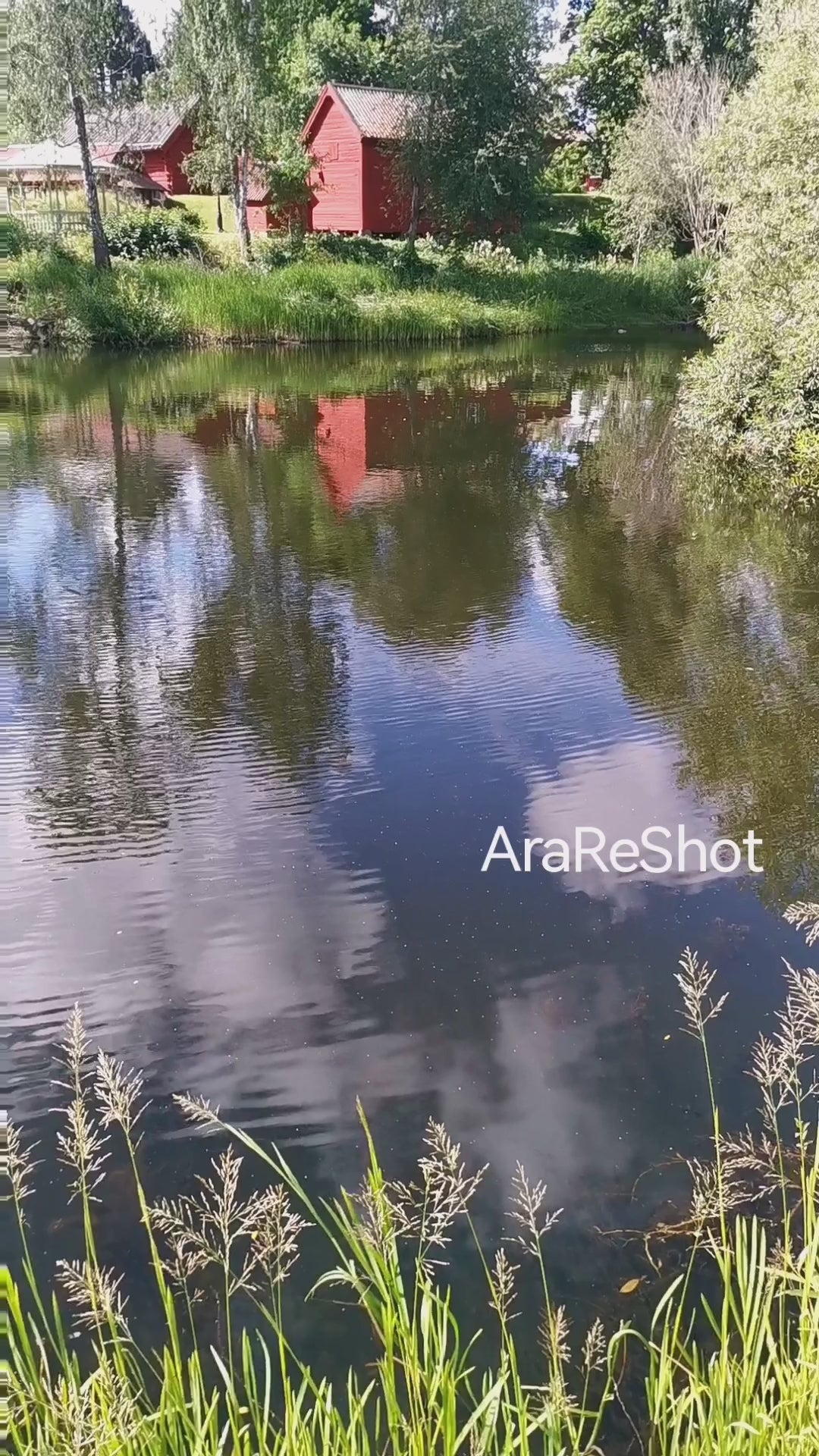 Swedish Red Cottage Reflections | Nature Video Reel | AraReShot